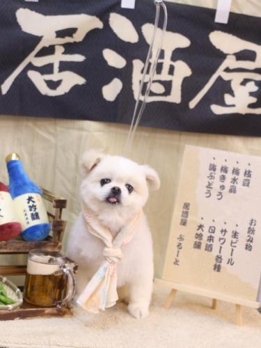 20240604ララちゃん